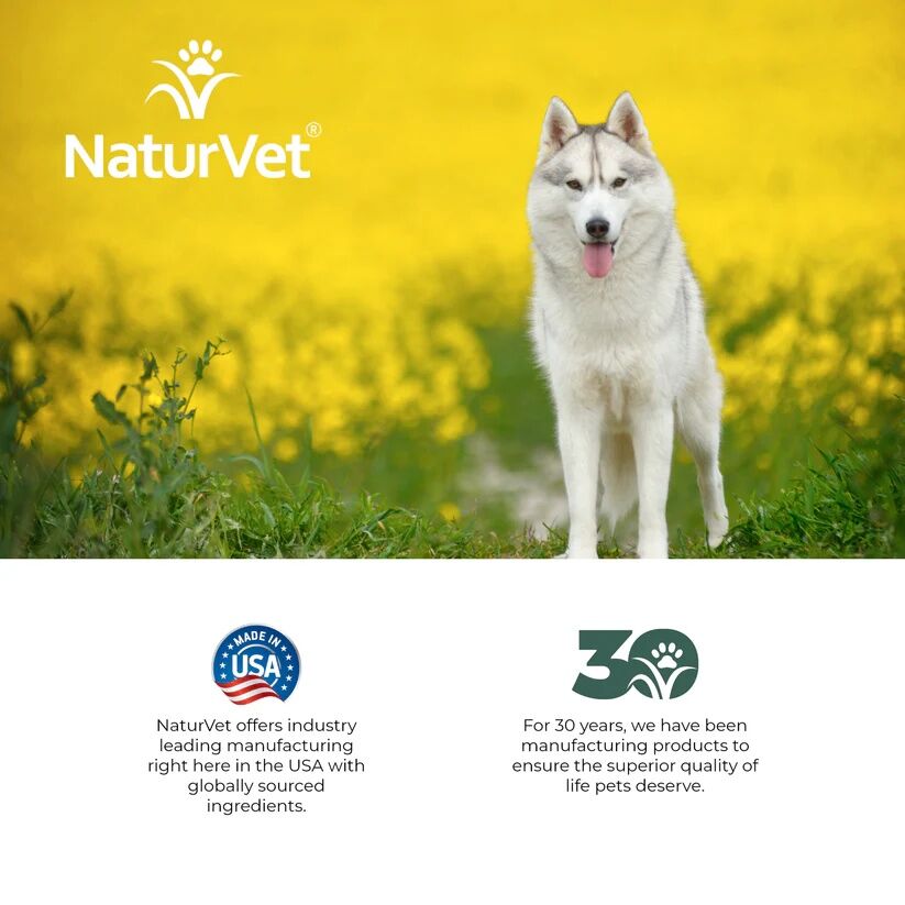 NaturVet Hemp Hypoallergenic Shampoo, 16-Oz