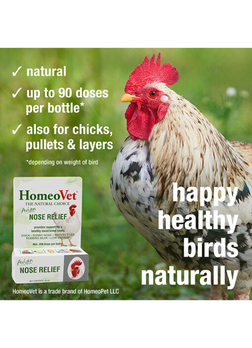 HomeoPet Avian Nose Relief, 15-mL