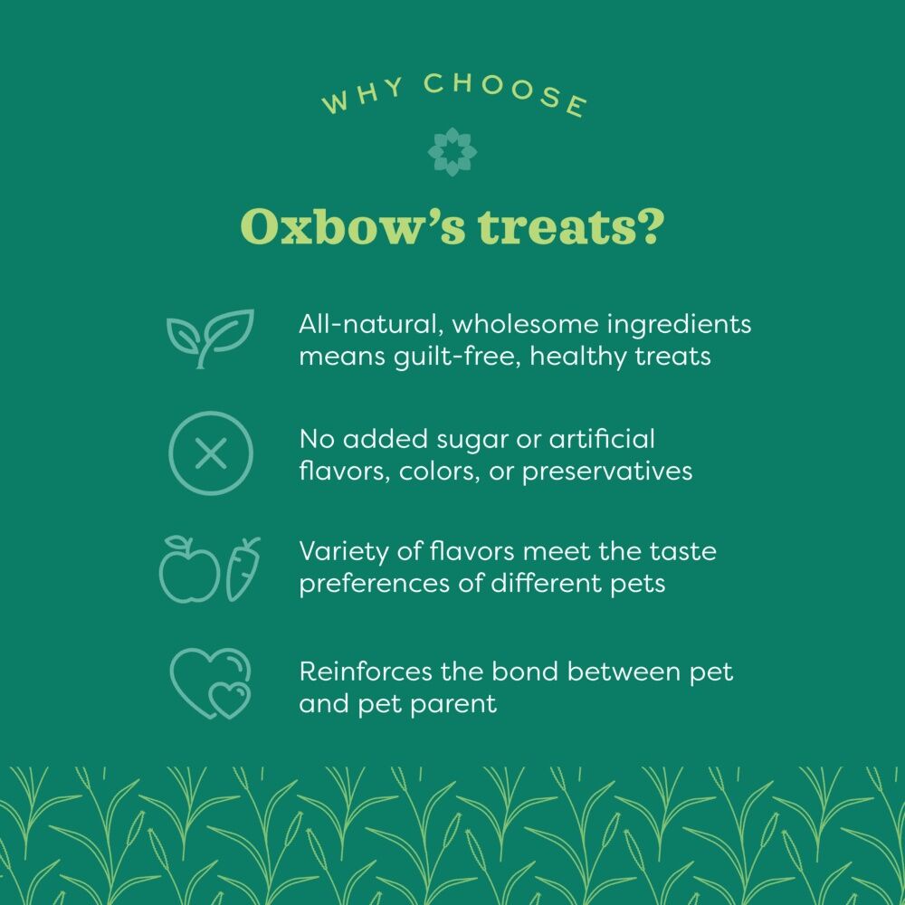 Oxbow Simple Rewards Baked Small Pet Treats With Carrot & Dill, 3-Oz