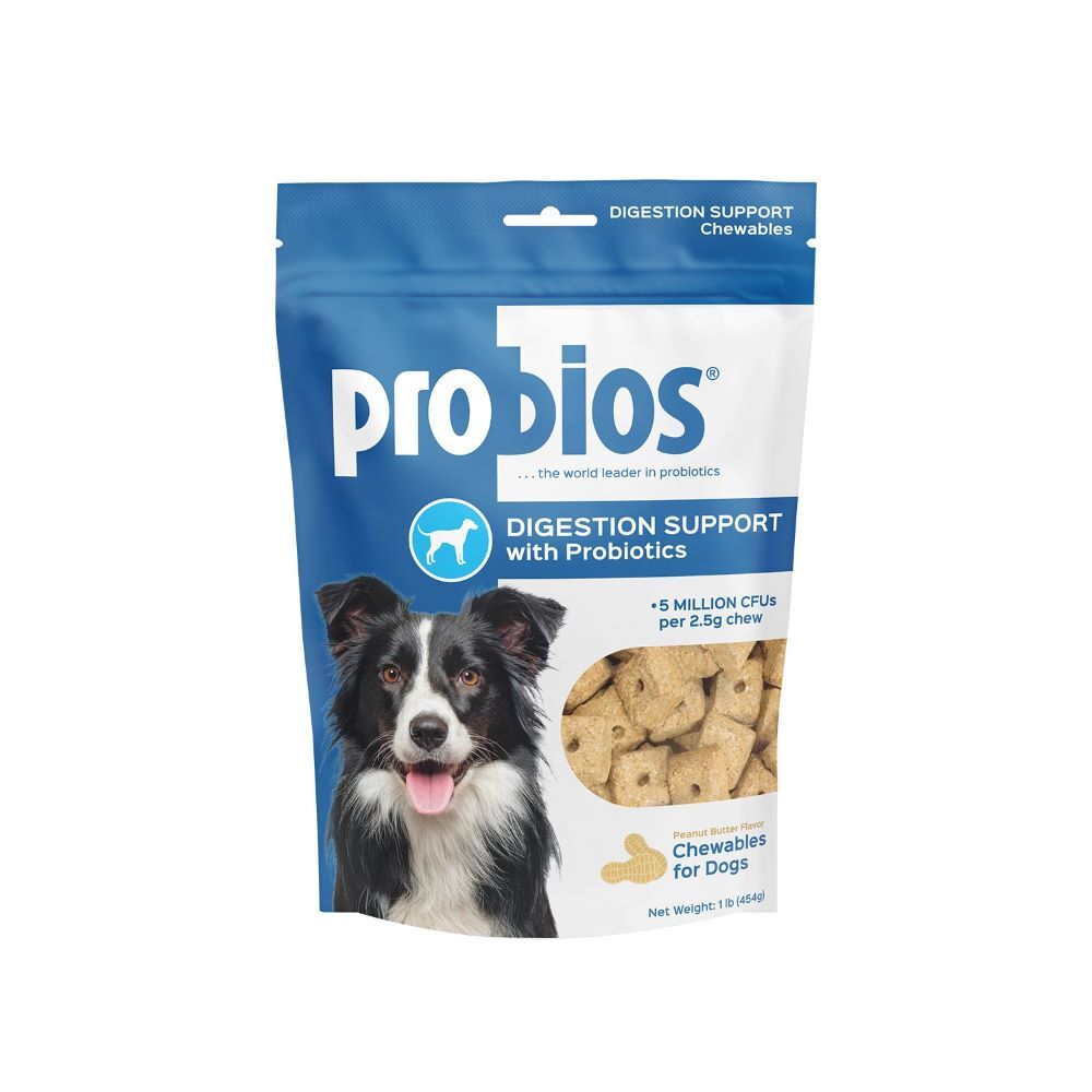Probios Chewables Digestion Support with Probiotics, 1-Lb