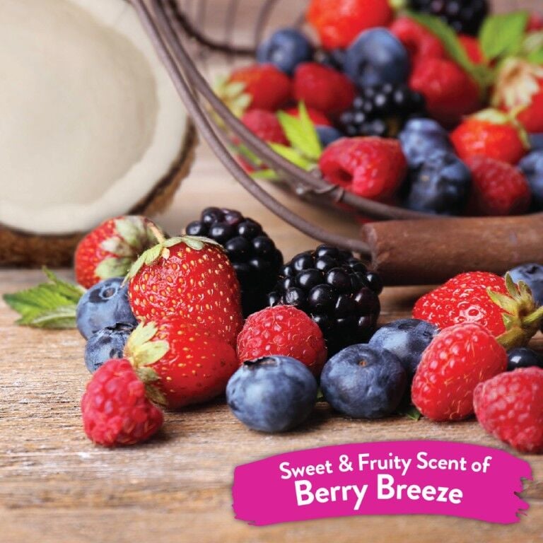 TropiClean Berry Breeze Deodorizing Spray for Pets, 8-Oz