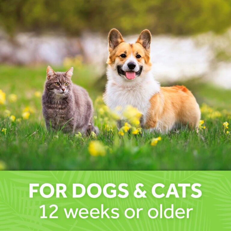 TropiClean Papaya Mist Deodorizing Spray for Pets, 8-Oz