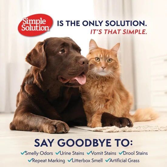 Simple Solution Extreme Stain and Odor Remover, 1-Gal