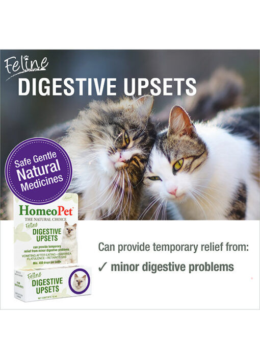 HomeoPet Feline Digestive Upsets, 15-ML