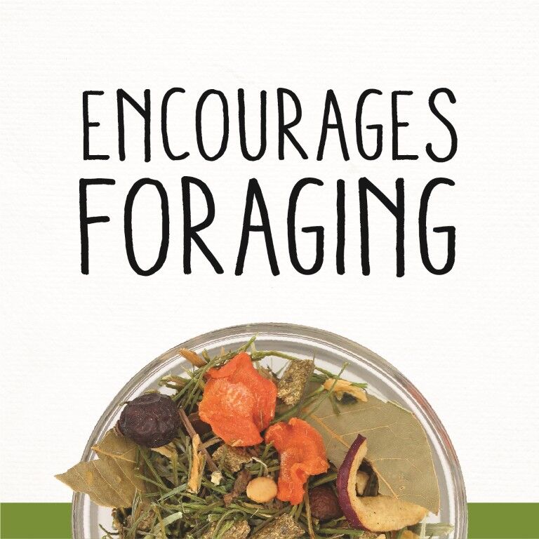 Sunseed Sun Salad Guinea Pig Treat, 10-Oz