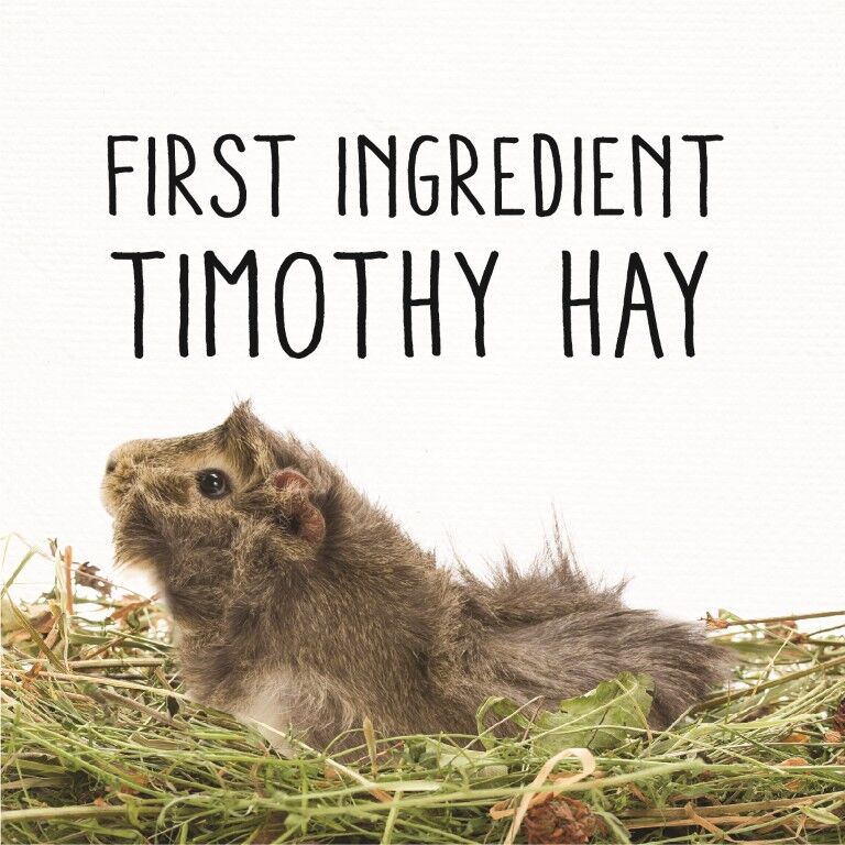 Sunseed Sun Salad Guinea Pig Treat, 10-Oz