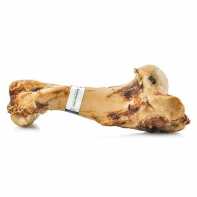 Barkworthies Femur Bone