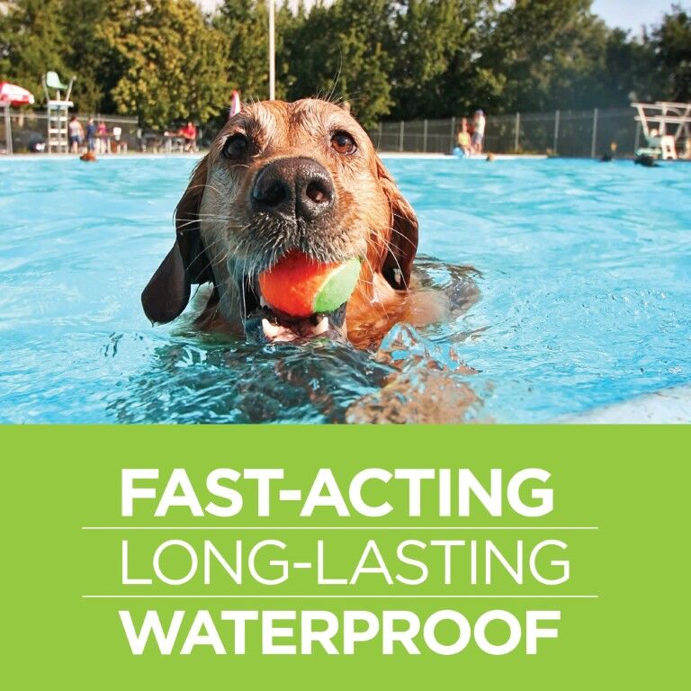 Vetality Firstect Plus For 6-Lb To 22-Lb Dogs