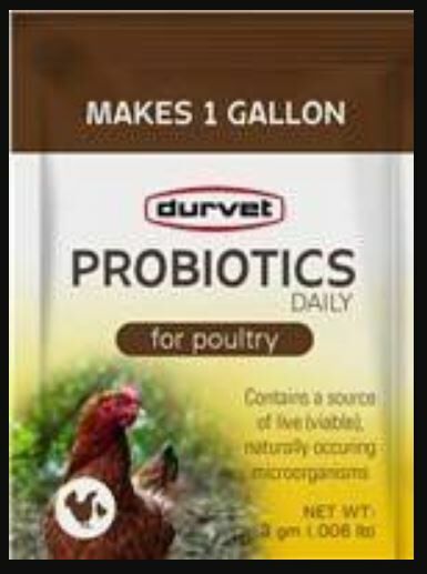 Durvet Probiotics Daily For Poultry- 3 g