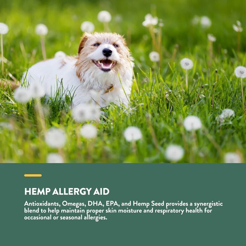 NaturVet Hemp Allergy Aid Soft Chews, 120-Ct