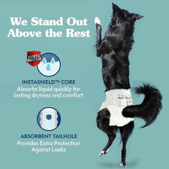 Simple Solution Disposable XXL Female Dog Diapers, 12-Ct