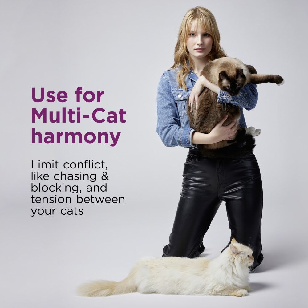 Comfort Zone Multi-Cat Calming Diffuser, 1-Pk