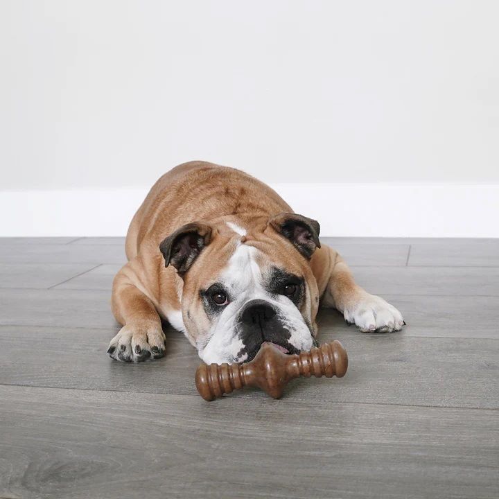 Benebone Small Bacon Zaggler Chew Toy