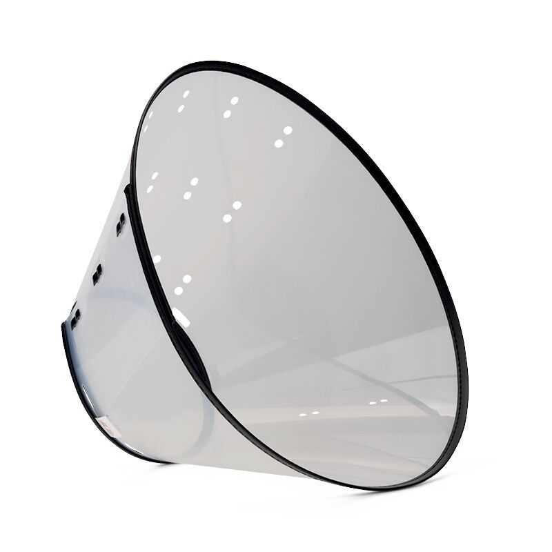 Dogswell Remedy + Recovery Pet First Aid Clear Rigid E-Collar, Large