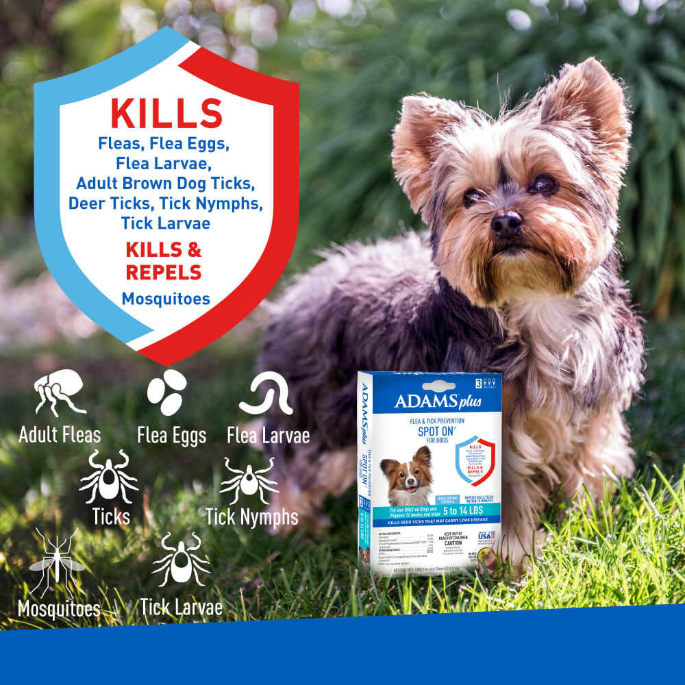 Adams Plus Flea & Tick Spot On For Dogs, Small