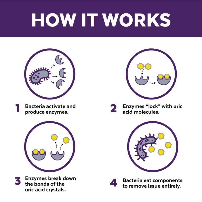 Urine Off Dog & Puppy Carpet Applicator, 32-Oz