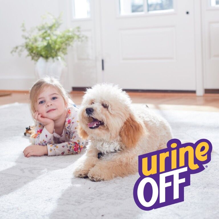 UrineOff Dog & Puppy Formula with Hard Surface Sprayer & Carpet Applicator Cap, 16.9-Oz