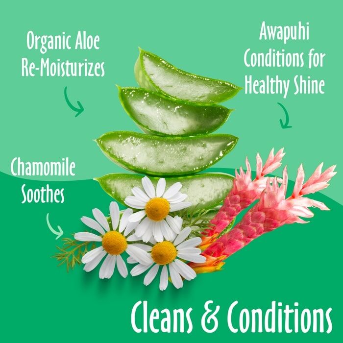 Earthbath Green Tea & Awapuhi Grooming Wipes, 100-Ct