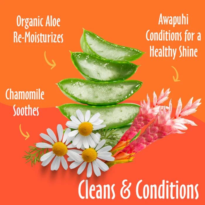 Earthbath Mango Tango Plant-Based Grooming Wipes, 100-Ct