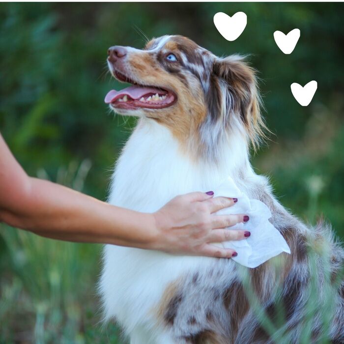 EarthBath HypoAllergenic Grooming Wipes, 30-Ct