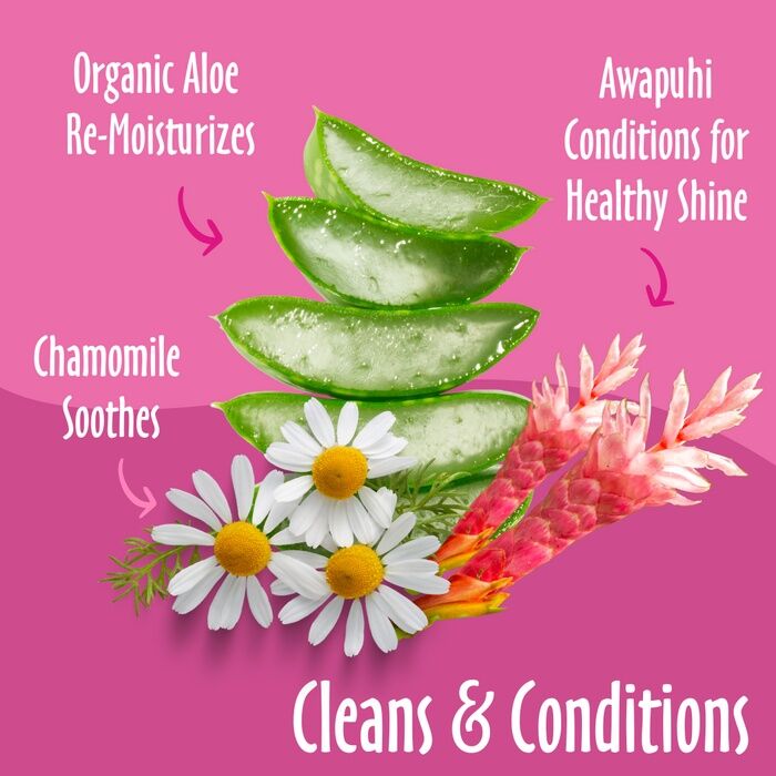 Earthbath Wild Cherry Scented Puppy Wipes, 30-Ct