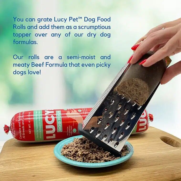 Lucy Pet Original Recipe Beef Formula Dog Food Roll, 1-Lb