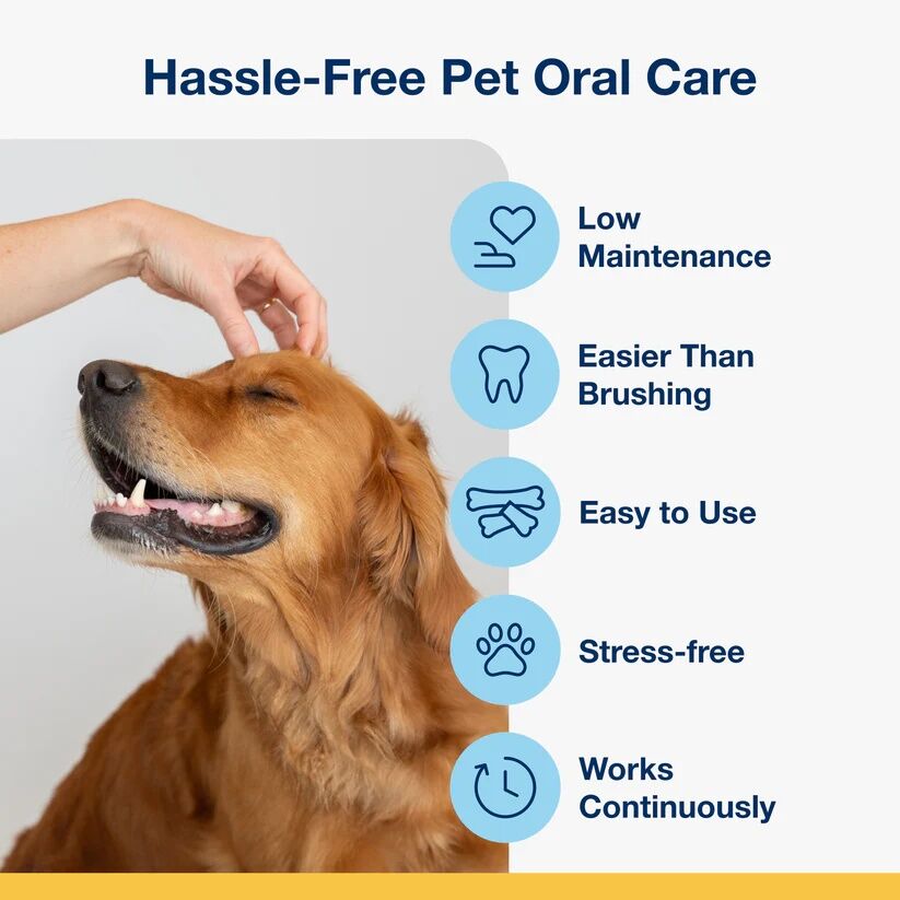 ProDen PlaqueOff Mini Dog Dental Care Bones PB & Banana Flavor, 20-Ct