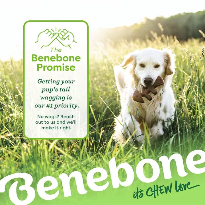 Benebone Tiny Jack Salmon Fishbone Dog Chew Toy, 2-Pk