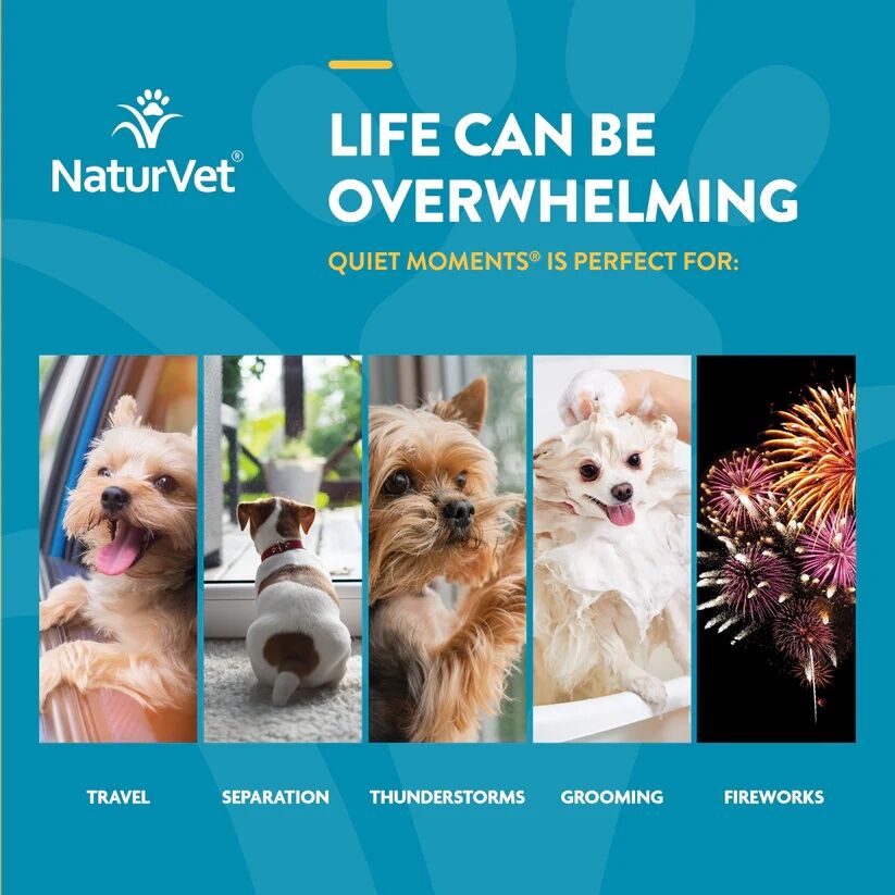 NaturVet Scoopables Quiet Moments Calming Aid for Dogs, 11-Oz