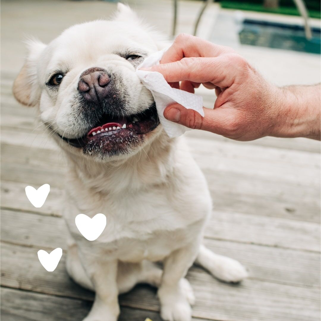 Earthbath Fragrance Free Hypoallergenic Eye Wipes, 30-Ct