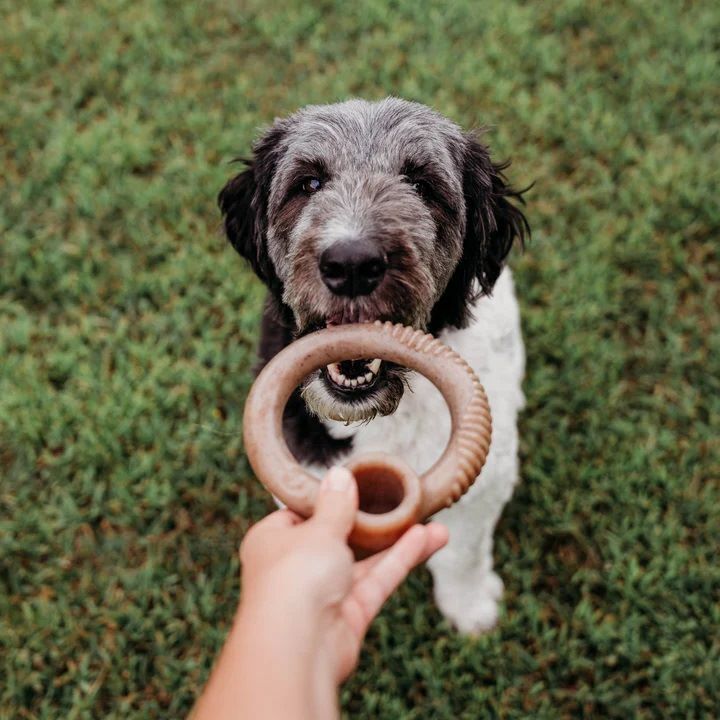 Benebone Large Bacon Ring Chew Toy