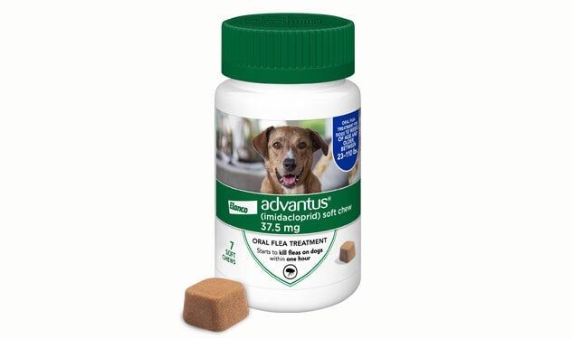 Elanco Advantus Imidacloprid Soft Chew Flea Treatment, 7-Ct