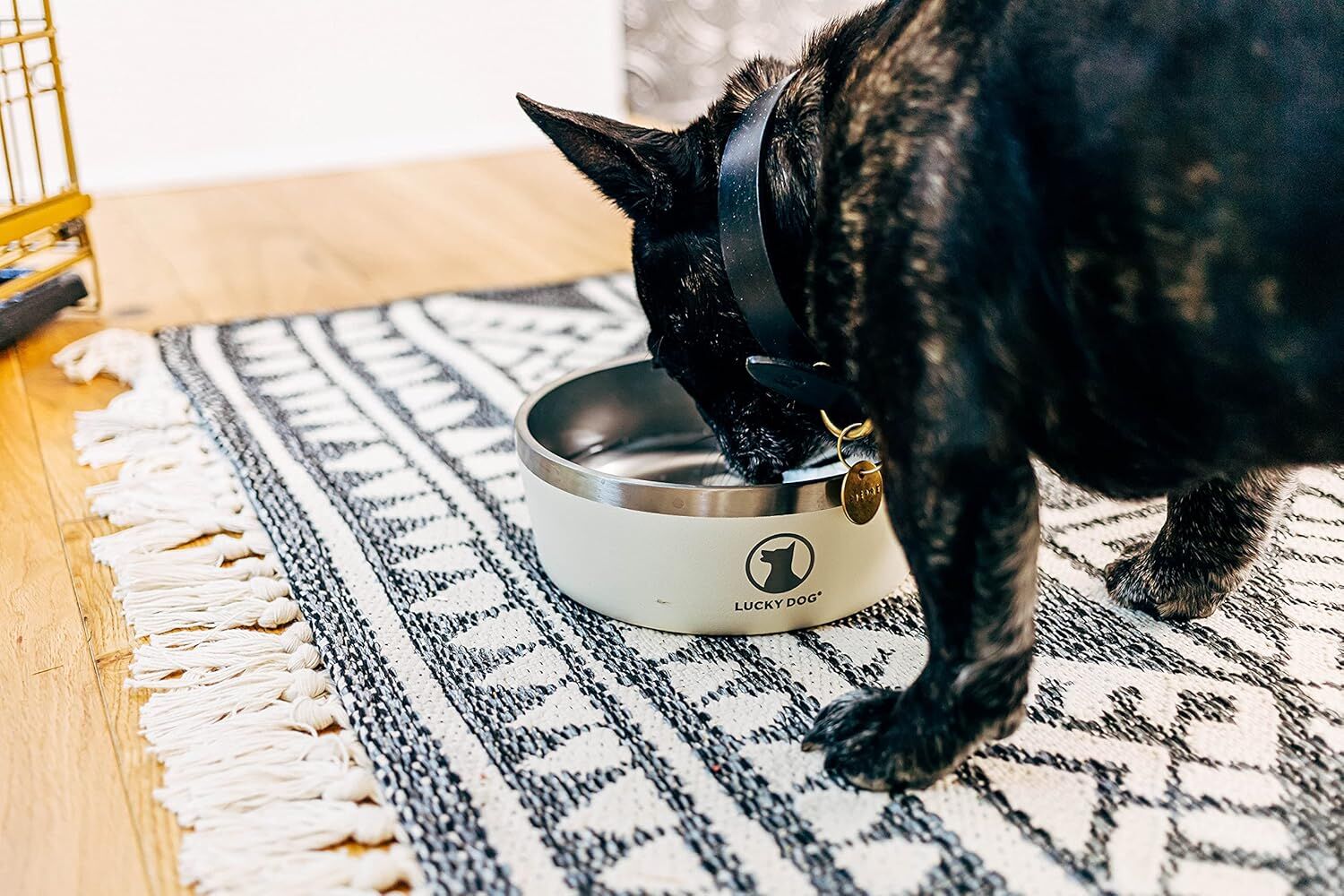 Lucky Dog Indulge 8 Black Double Wall Stainless Steel Dog Bowl, 64-Oz