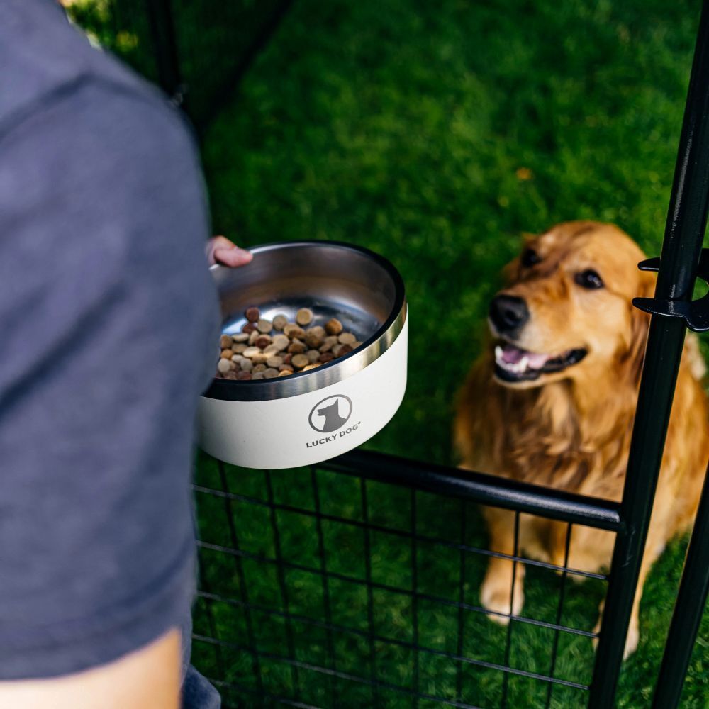 Lucky Dog INDULGE 8 Double Wall Stainless Steel Tahitian Sand Dog Bowl, 64-Oz