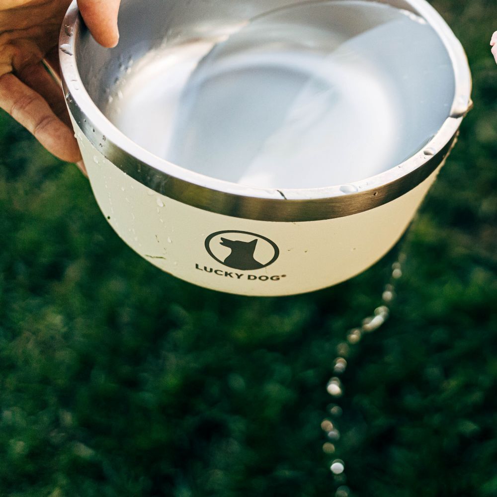 Lucky Dog INDULGE XL Double Wall Stainless Steel Tahitian Sand Dog Bowl, 100-Oz