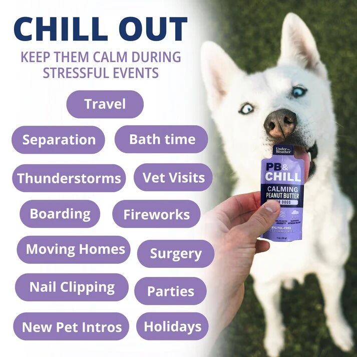 Under The Weather PB & Chill Calming Peanut Butter For Dogs, 6-Pk