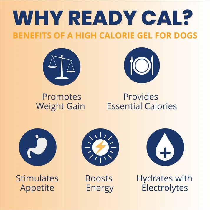 Under The Weather Ready Cal PLUS Electrolytes For Dogs, 3.5-Oz