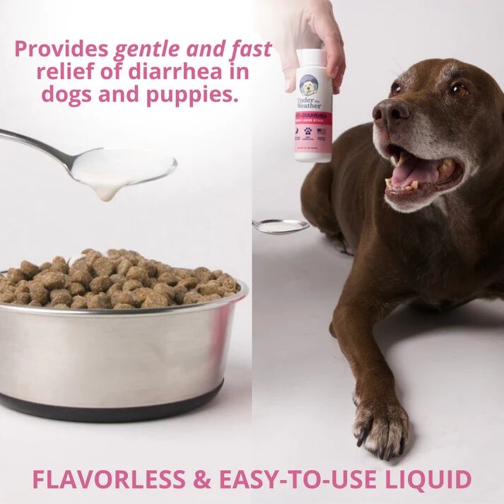 Under The Weather Anti-Diarrhea Liquid For Dogs, 4-Oz