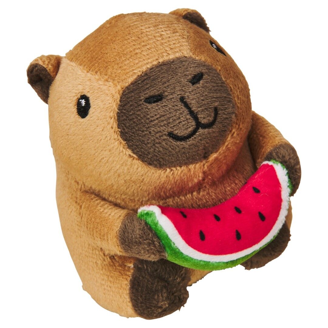 Spot Capybara with Watermelon Cat Toy, 4 in.