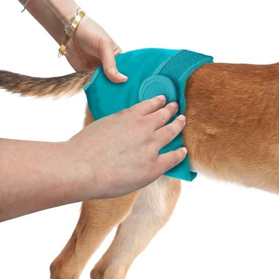 Simple Solution Washable Medium Female Dog Diaper