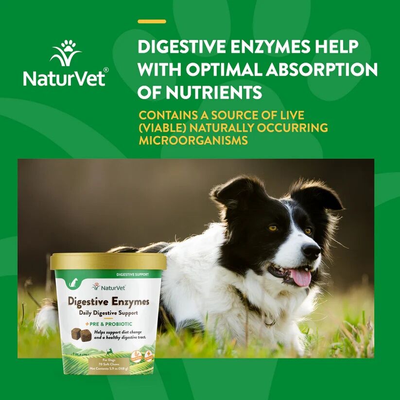 NaturVet Digestive Enzymes Soft Chews With Prebiotics & Probiotics, 70-Ct