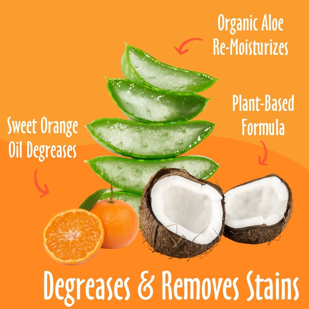 Earthbath Sweet Orange Oil Dirty Dog Shampoo, 16-Oz