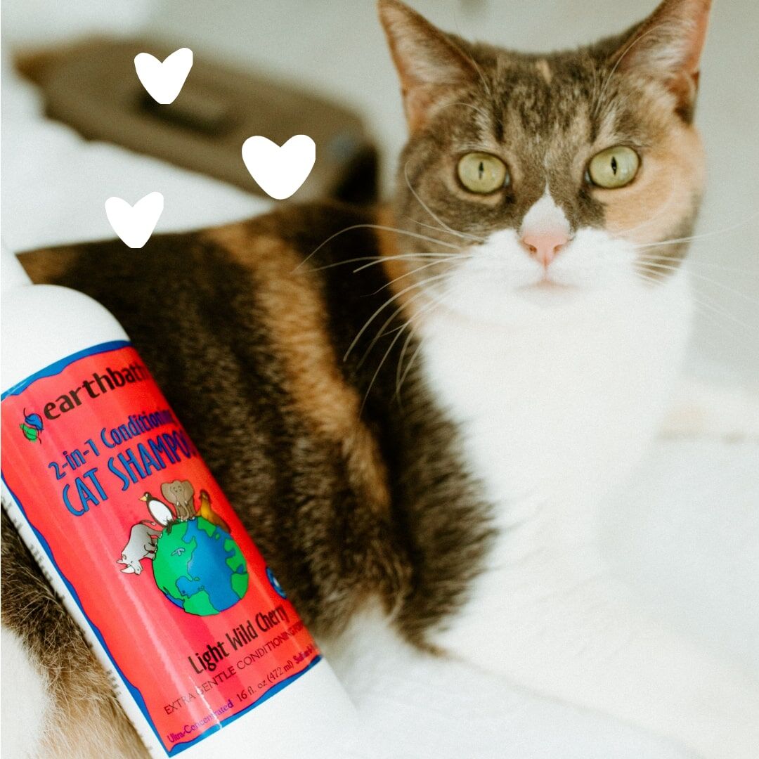 Earthbath Light Wild Cherry 2-in-1 Conditioning Cat Shampoo, 16-Oz