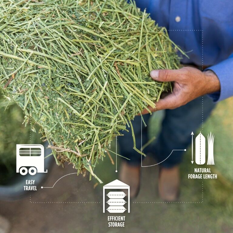 Standlee Premium Western Forage Alfalfa Compressed Hay Bale, 50-Lb
