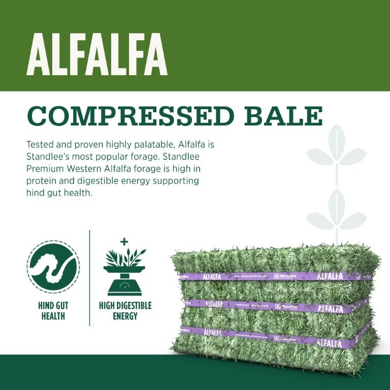 Standlee Premium Western Forage Alfalfa Compressed Hay Bale, 50-Lb