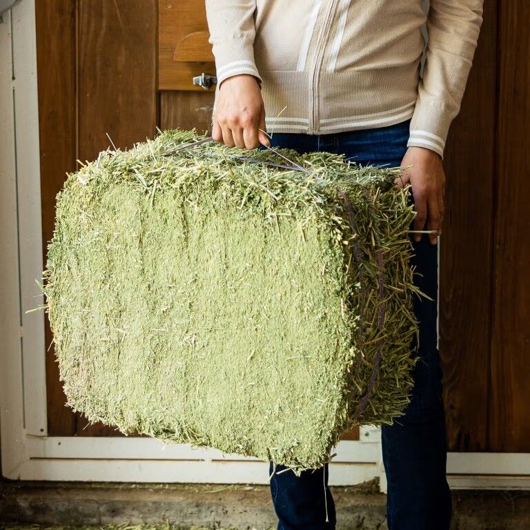 Standlee Premium Western Forage Alfalfa Compressed Hay Bale, 50-Lb