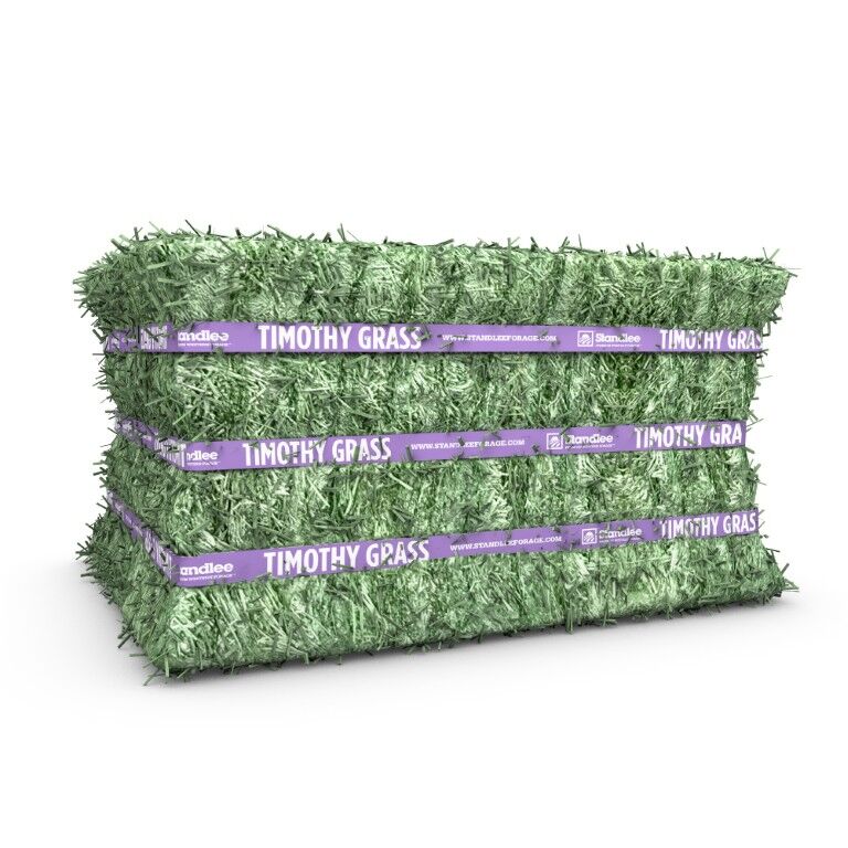 Standlee Premium Western Forage Timothy Grass Compressed Hay Bale, 50-Lb