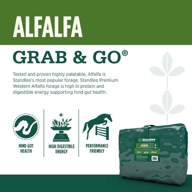 Standlee Premium Western Forage Alfalfa Grab & Go Compressed Hay Bale, 50-Lb