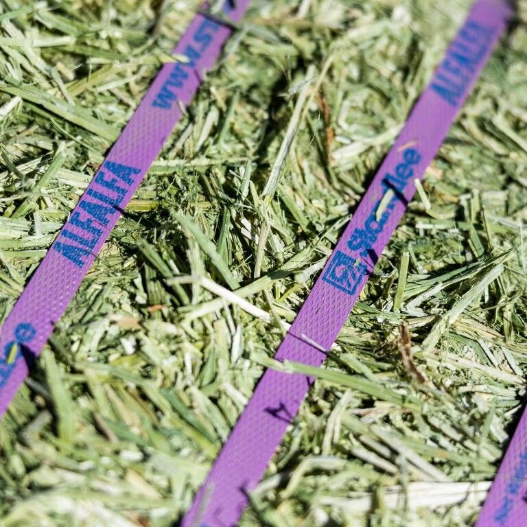 Standlee Premium Western Forage Alfalfa Grab & Go Compressed Hay Bale, 50-Lb