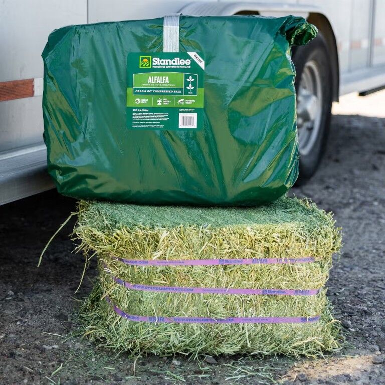 Standlee Premium Western Forage Alfalfa Grab & Go Compressed Hay Bale, 50-Lb